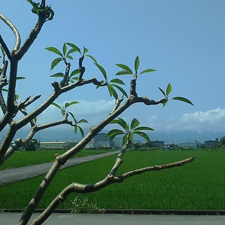 田野居民宿 壮围 外观 照片