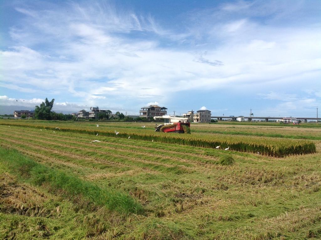 田野居民宿 壮围 外观 照片